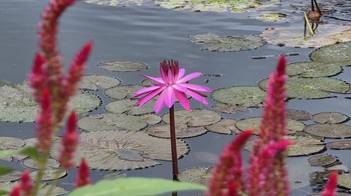 20251024_092747_red-20p100