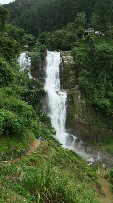 P1364096_red-20p100