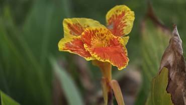 20251027_111942_red-20p100