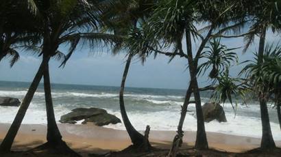 P1374664_red-20p100