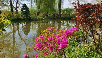 20250412_124621_red-20p100
