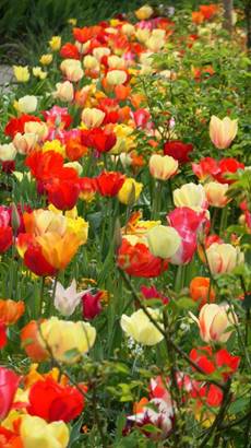 P1330392_red-20p100