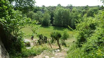 P1340943_red-20p100